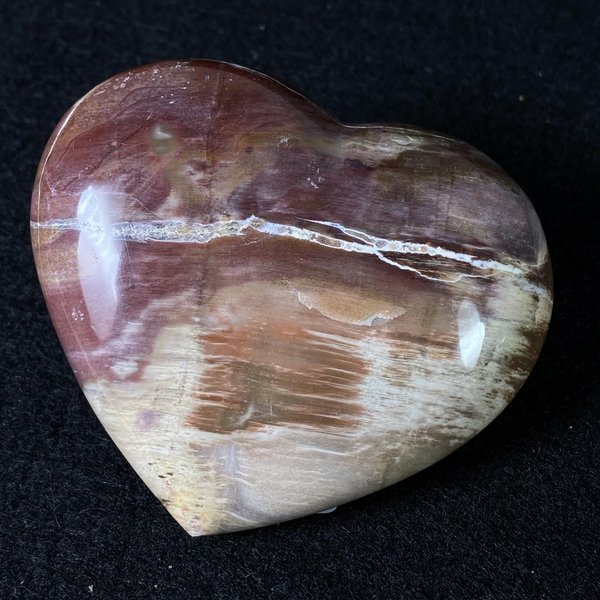 Herz aus Versteinertem Holz