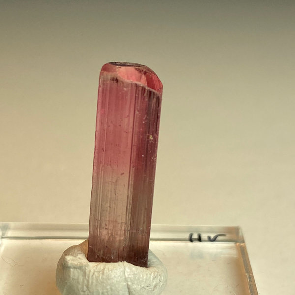 Turmalin (Rubellit) Kristall